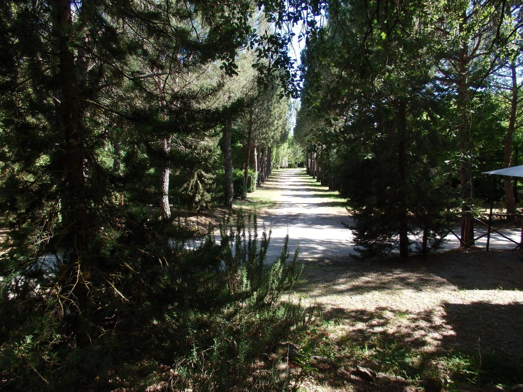 Camping Village La Chiocciola Capannole Eksteriør bilde